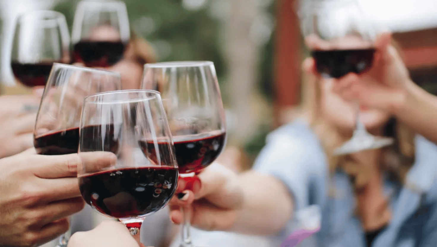 comprar vinho online loja de vinho adega