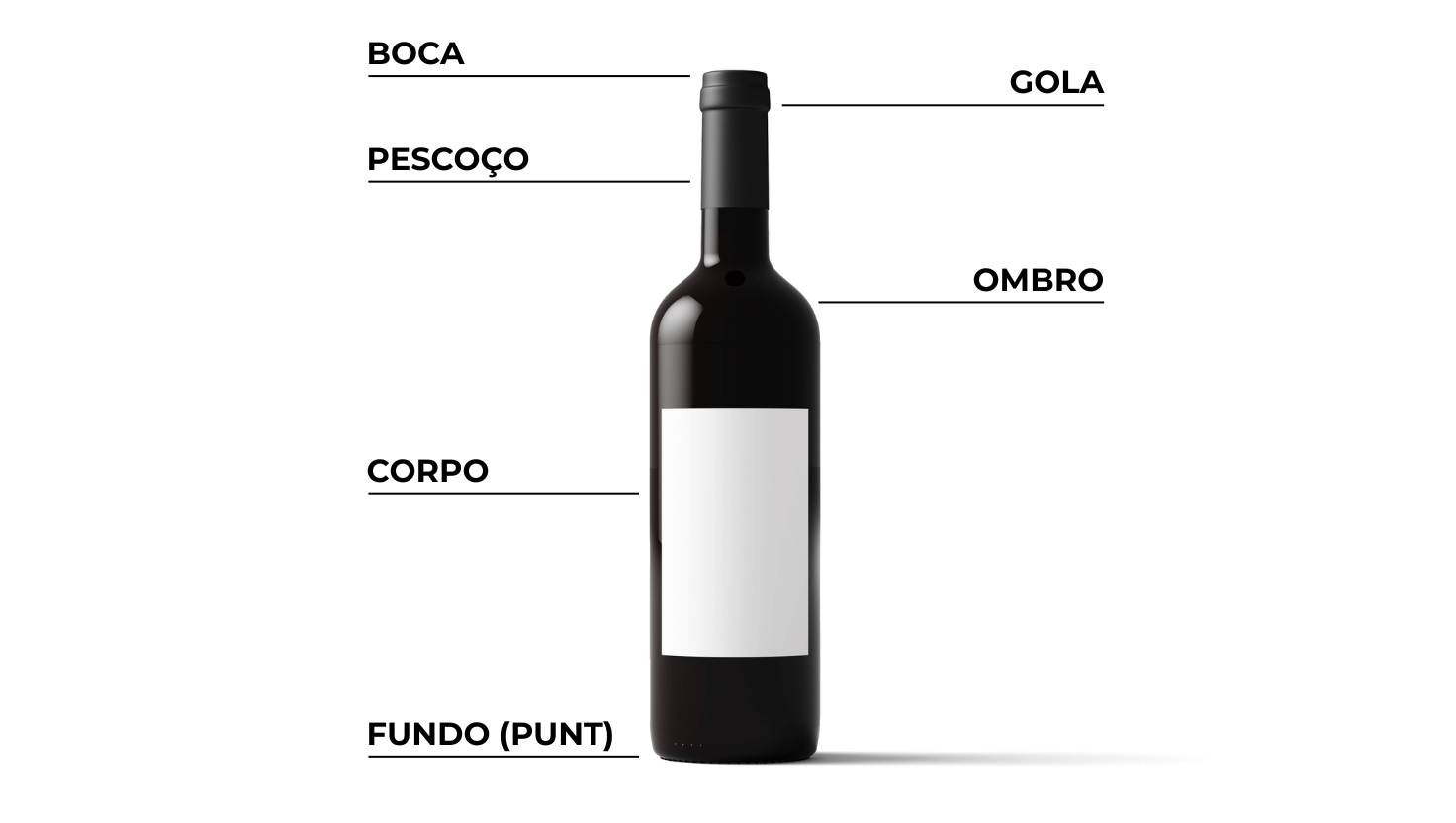 Mitos E Verdades Sobre Garrafas De Vinho Blanic
