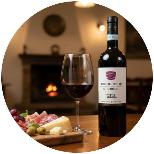 3 300 0008 terra barbera d alba superiore doc2